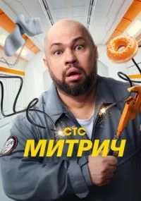 Митрич 1-16 серия